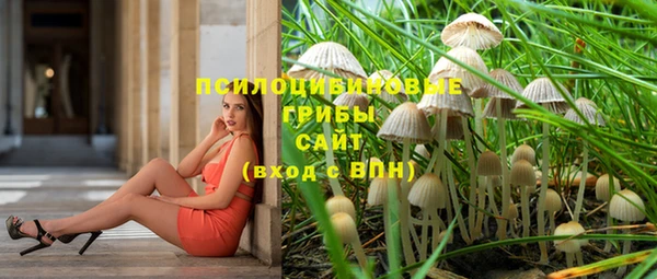 бошки Аркадак