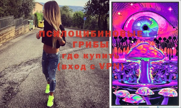 бошки Аркадак